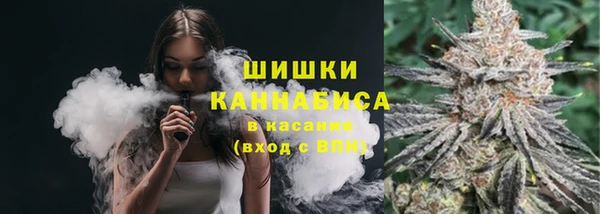крисы Переславль-Залесский