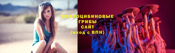 МДПВ Пестово