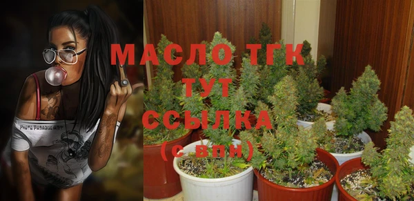 крисы Переславль-Залесский